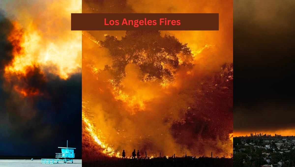 Los Angeles Fires